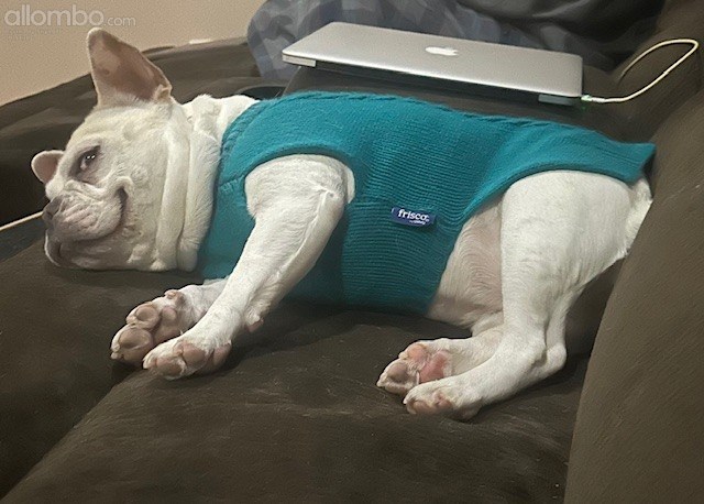 Don't bug me.. Im sleeping