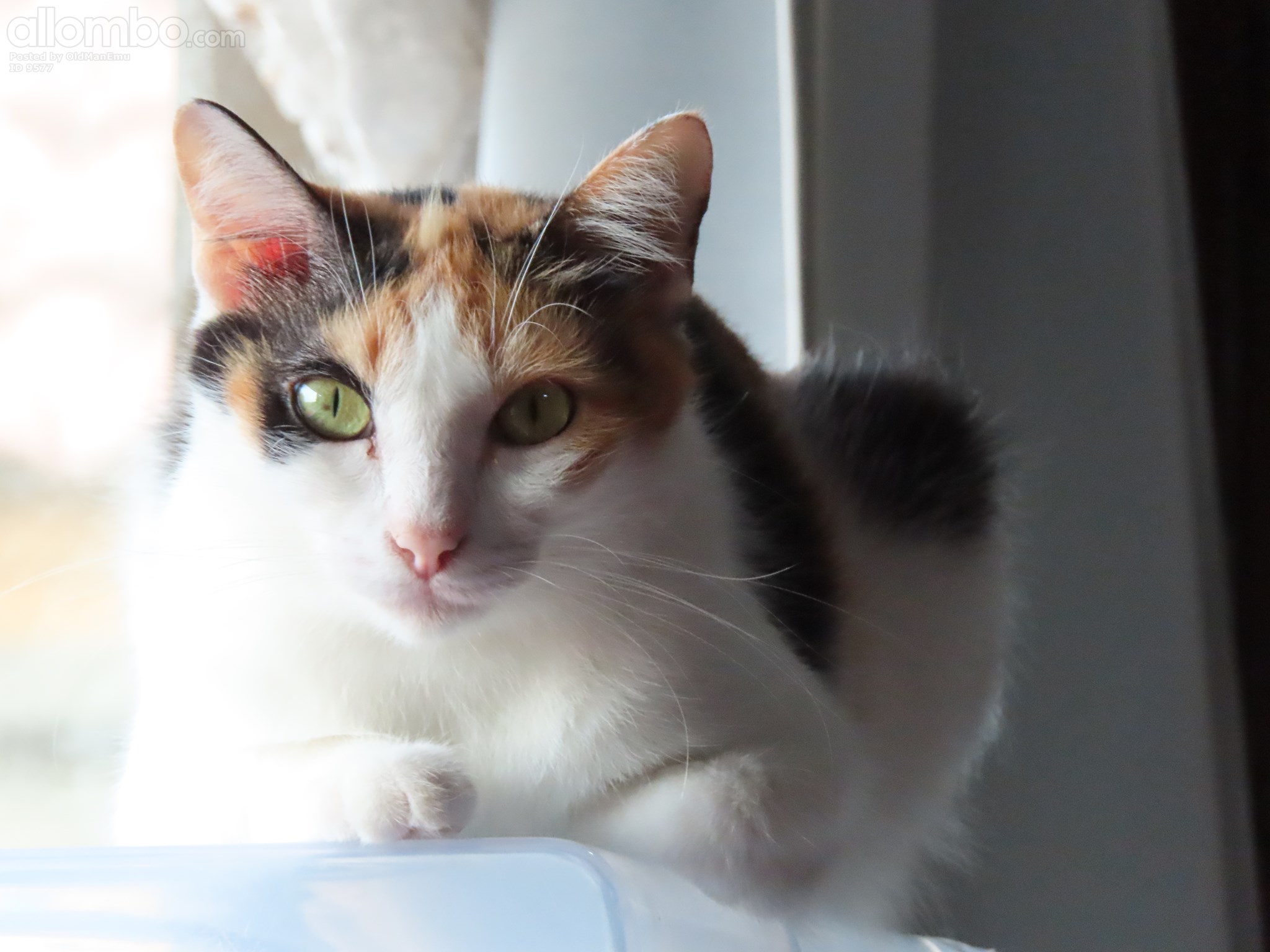 I'm keeping an eye on you