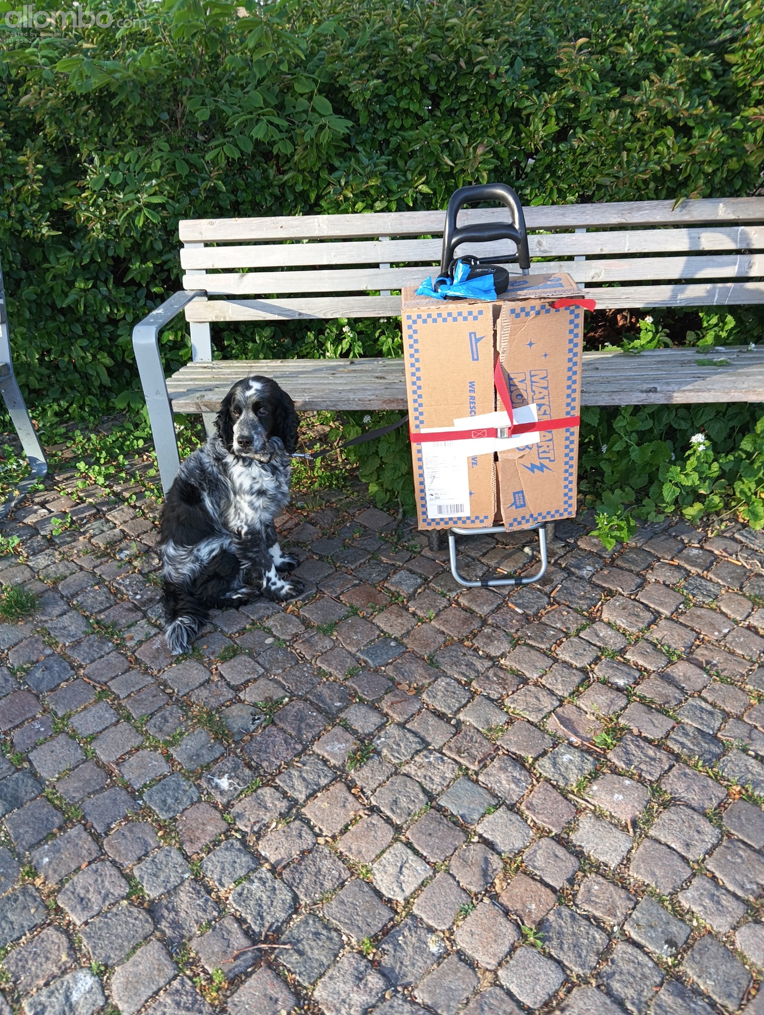 How i get packages when i have a flat on bike