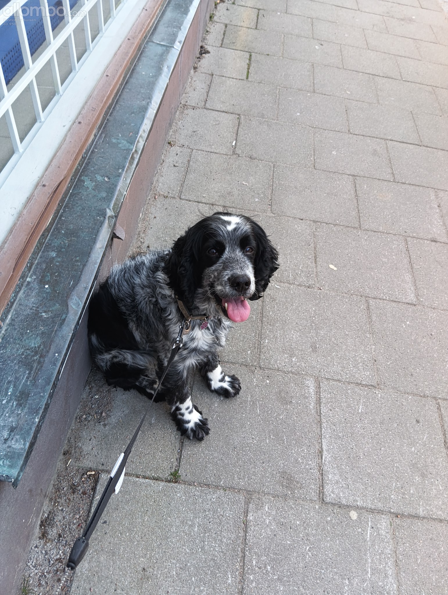 Vito rest when i rest