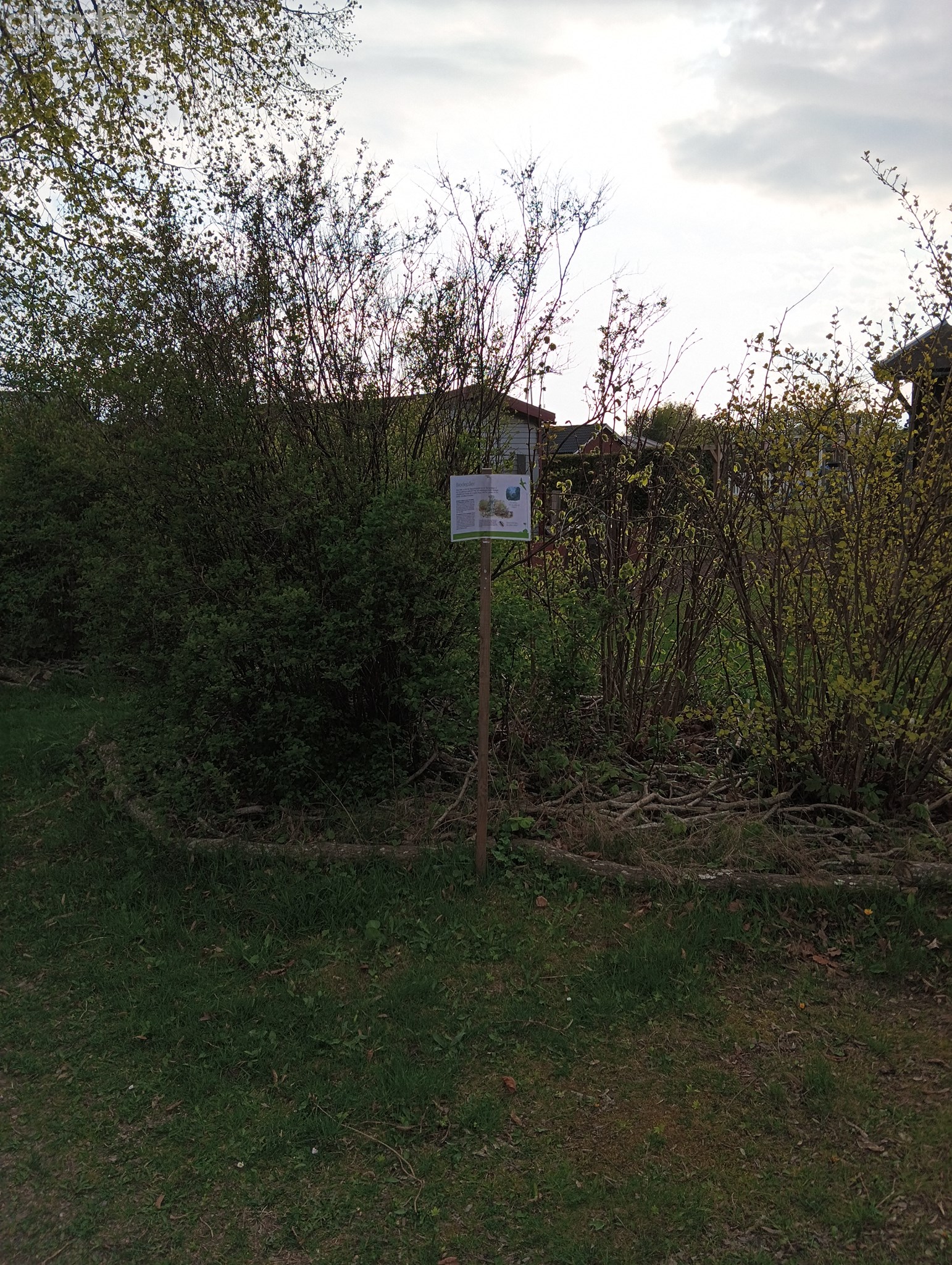 I was confused until i read sign, its not to be disturbed, housing bugs n w...