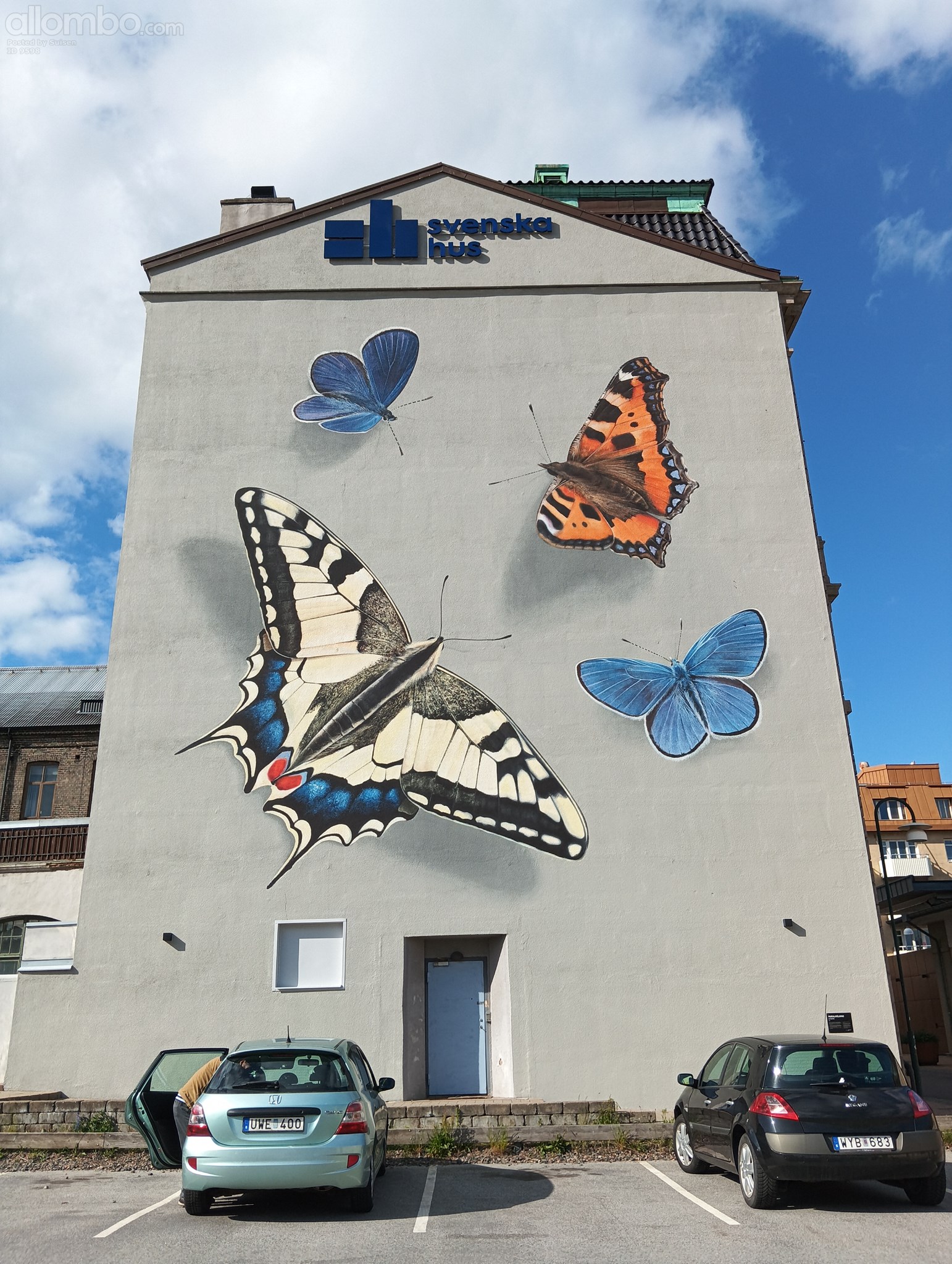 Close up of the butterfly wall