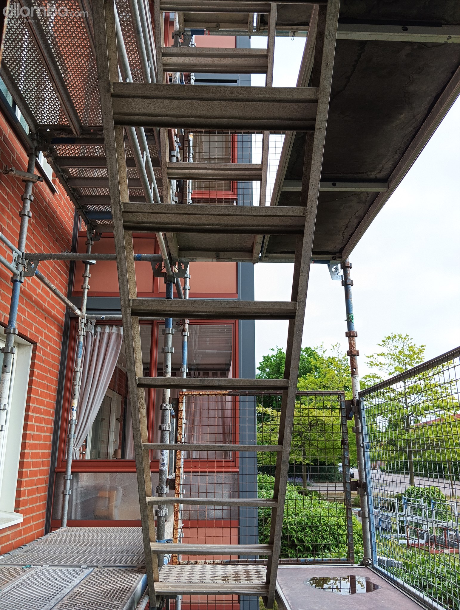 The ladders in place