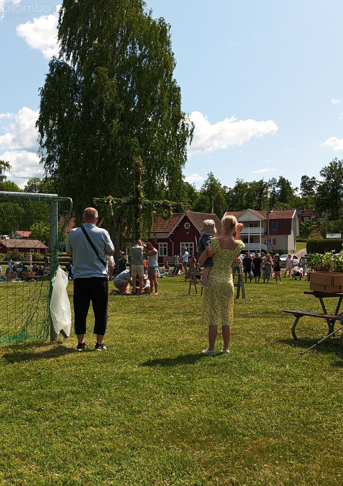 Midsommarstång being raised