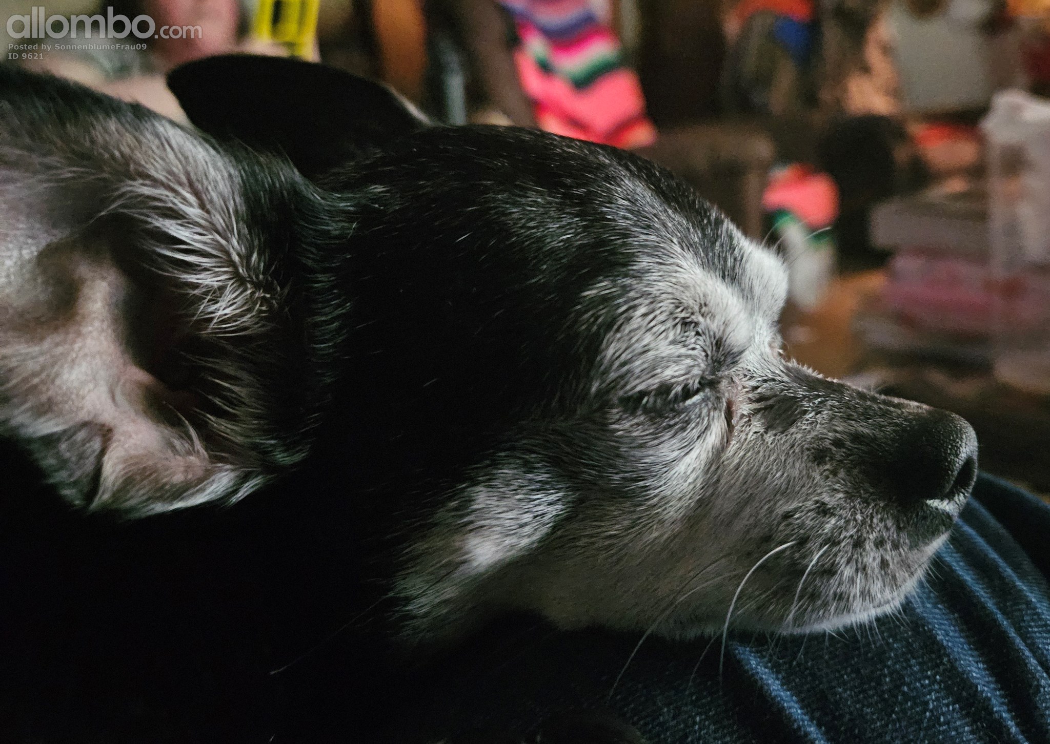 Been so long since I posted I forgot how this site worked.