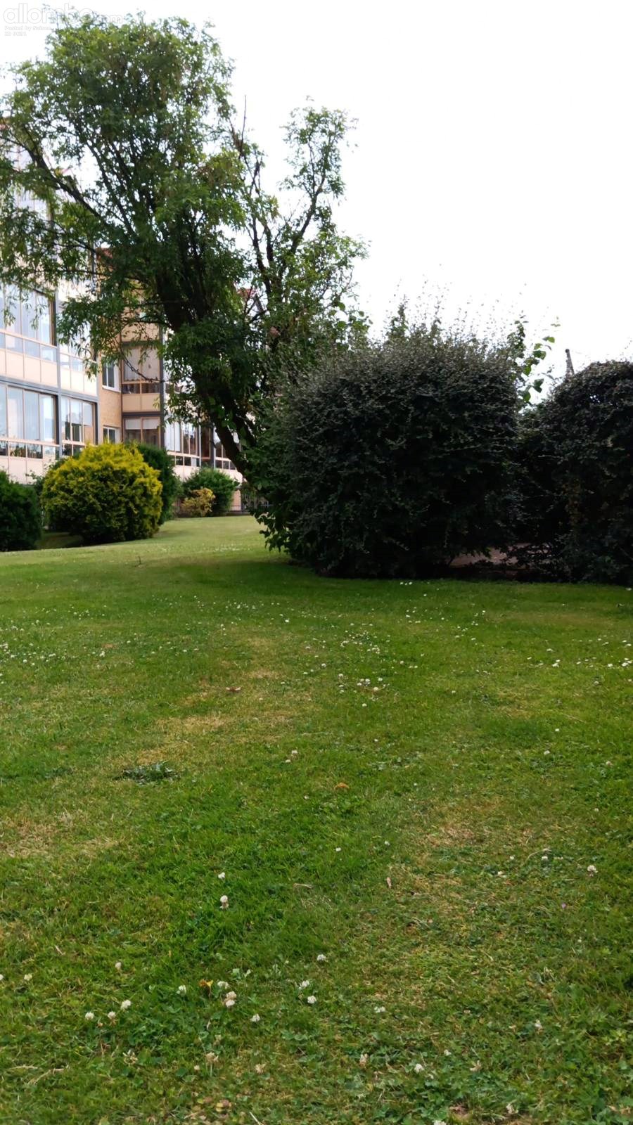 lawn outside my building