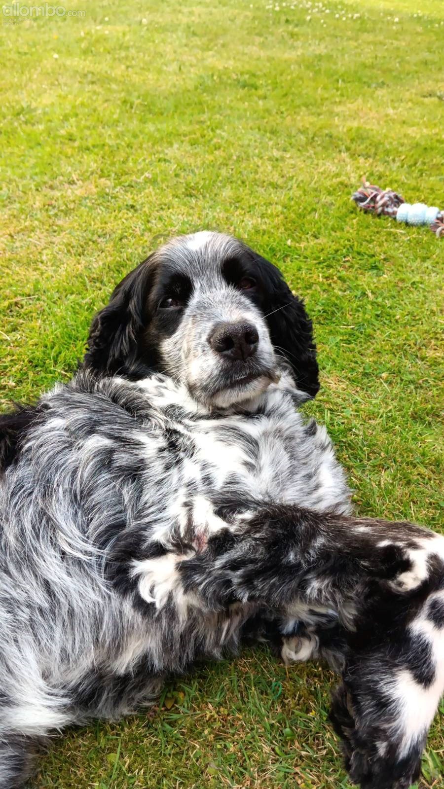 we are cuddling on lawn outside my building