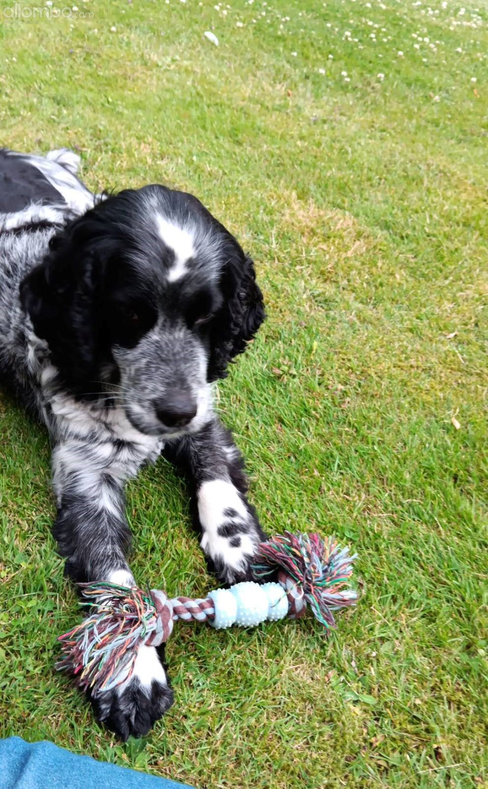 we are playing on lawn outside my building