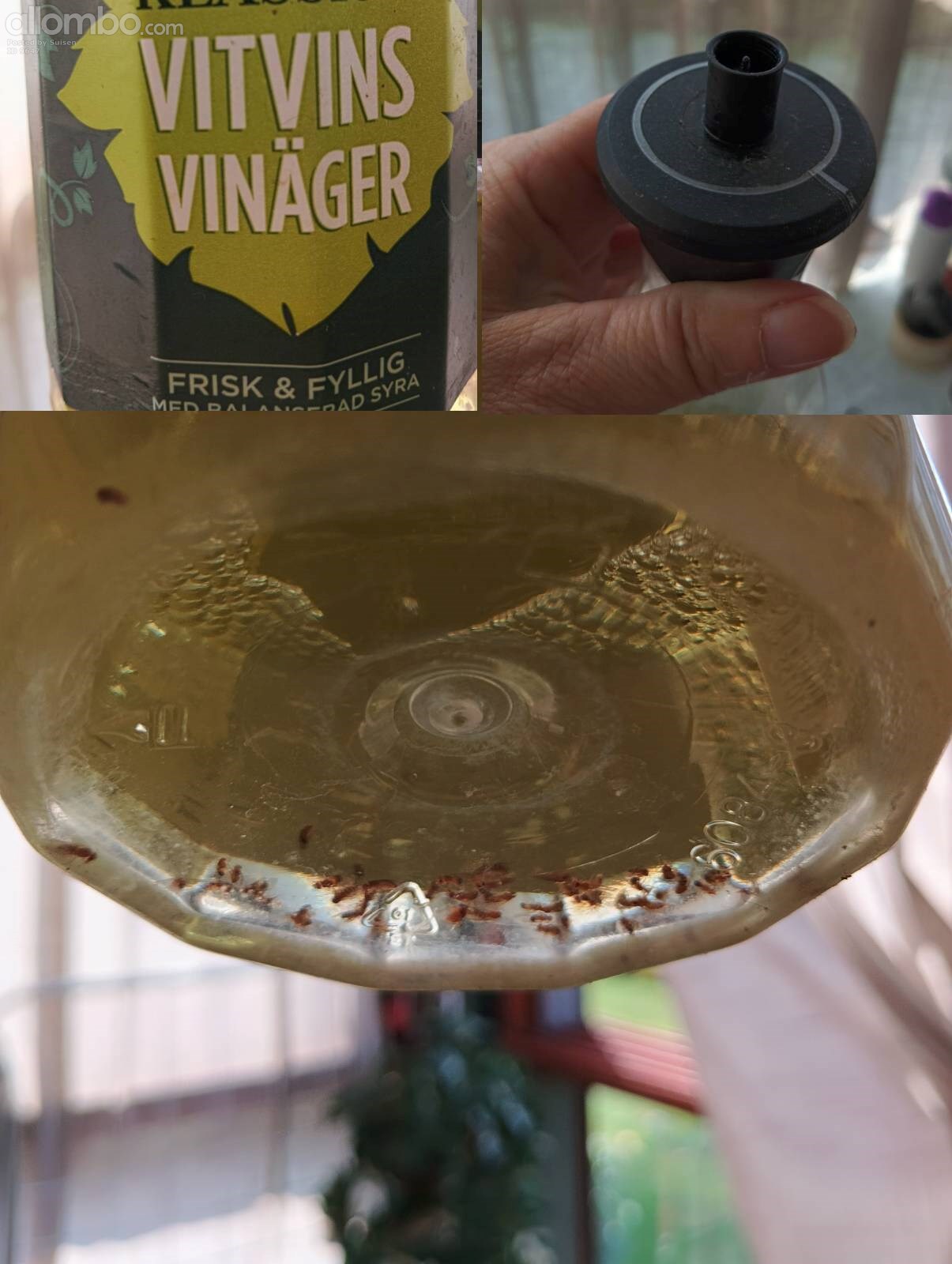 I forgot melon peel on balcony, 1. bottle with small opening 2. ½ cup vineg...