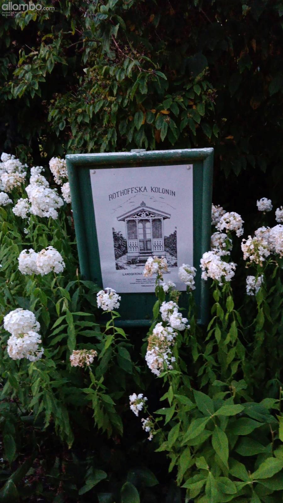 the Museum Allotment has a Name