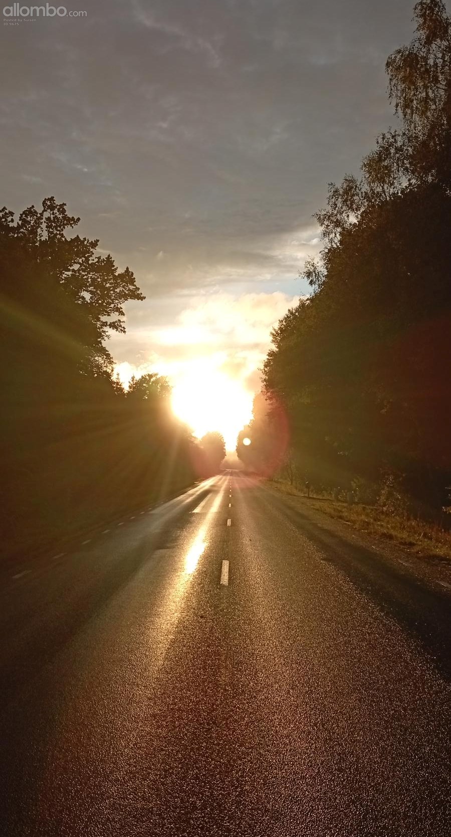 driving to busstop sunday evning