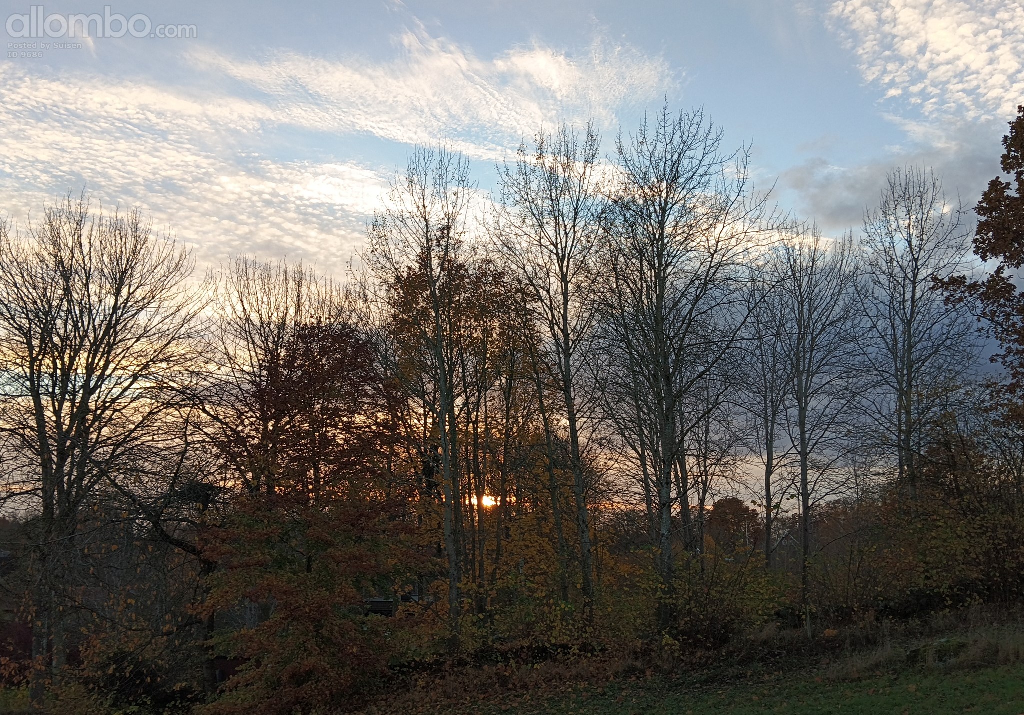 Sun setting behind the house