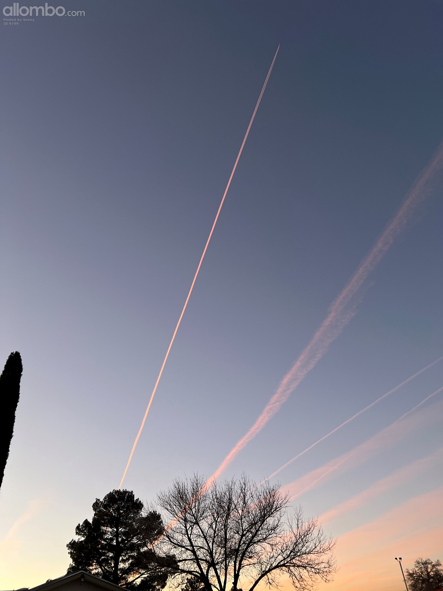Contrails from overhead planes going by at high altitude