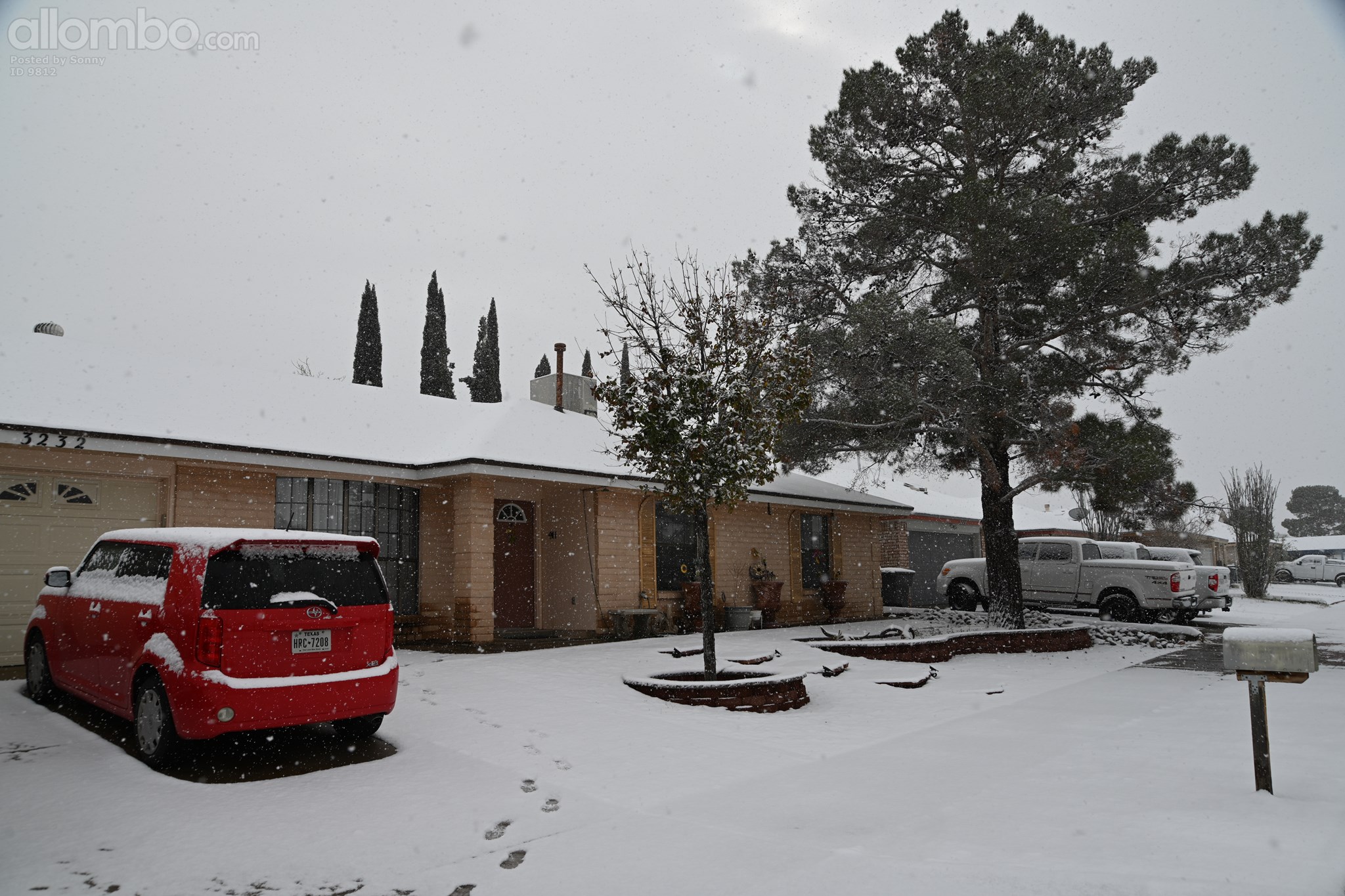 Snow from last night (Texas)