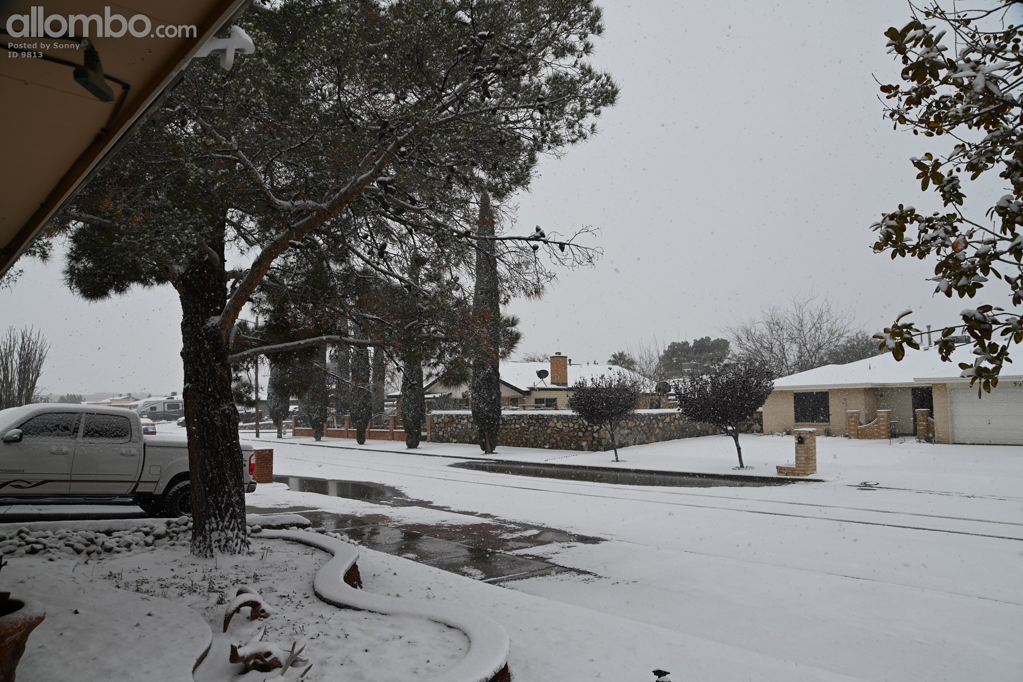 Snow from last night (Texas)