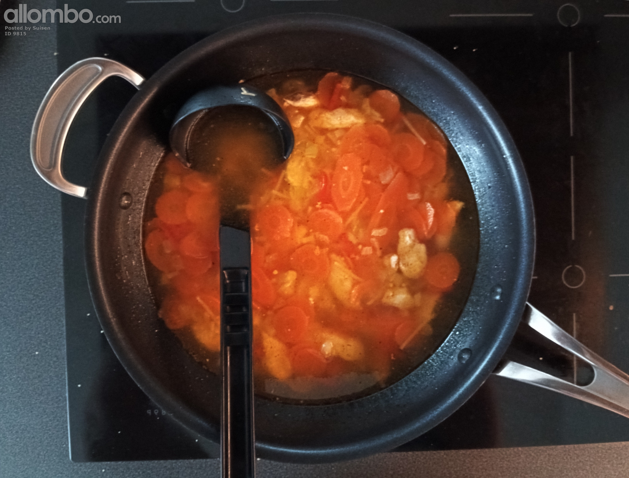 Chicken soup, (chicken file, pasta, carrots, onion, garlic, chili some spic...