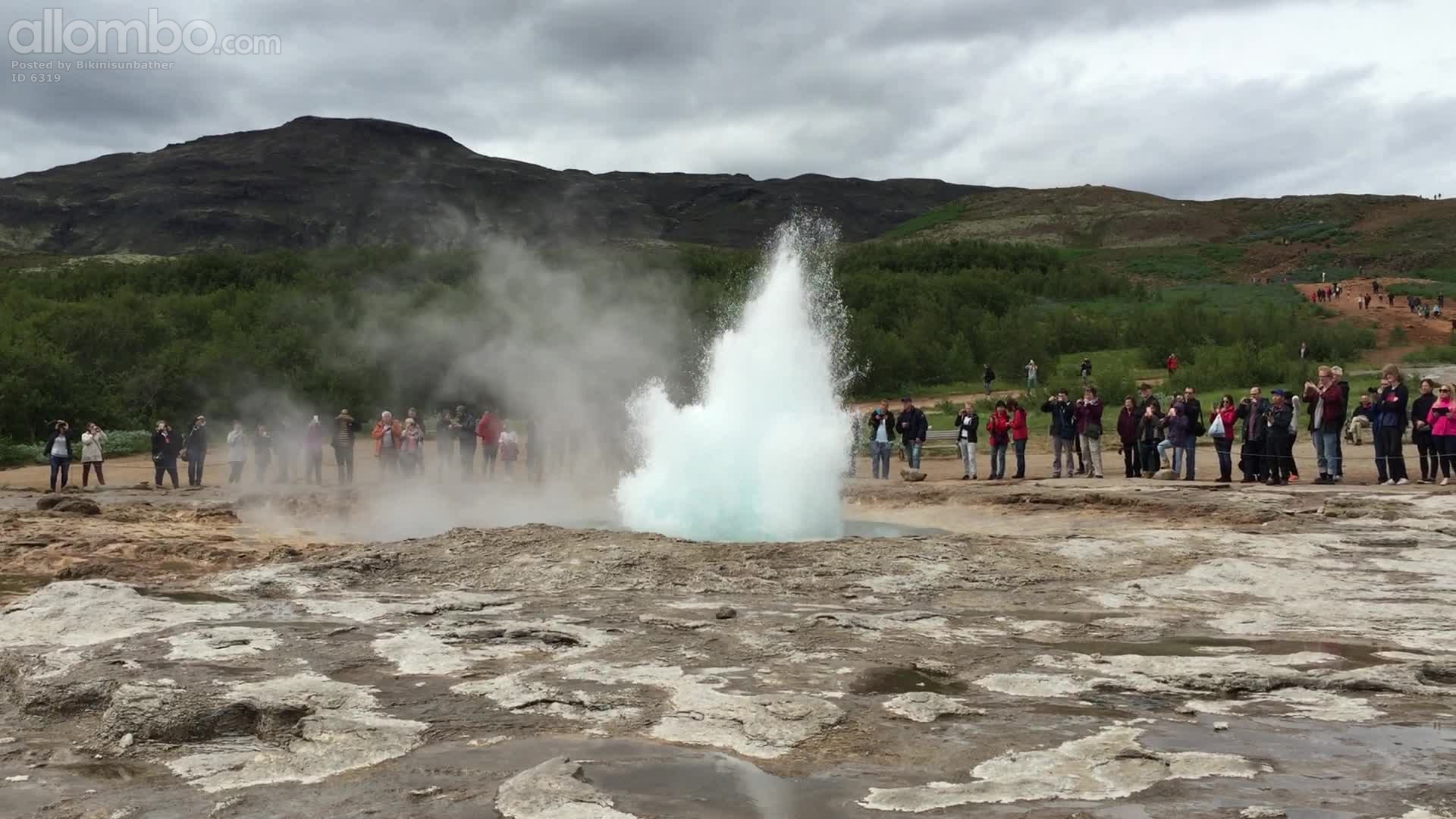 Geyser in Iceland