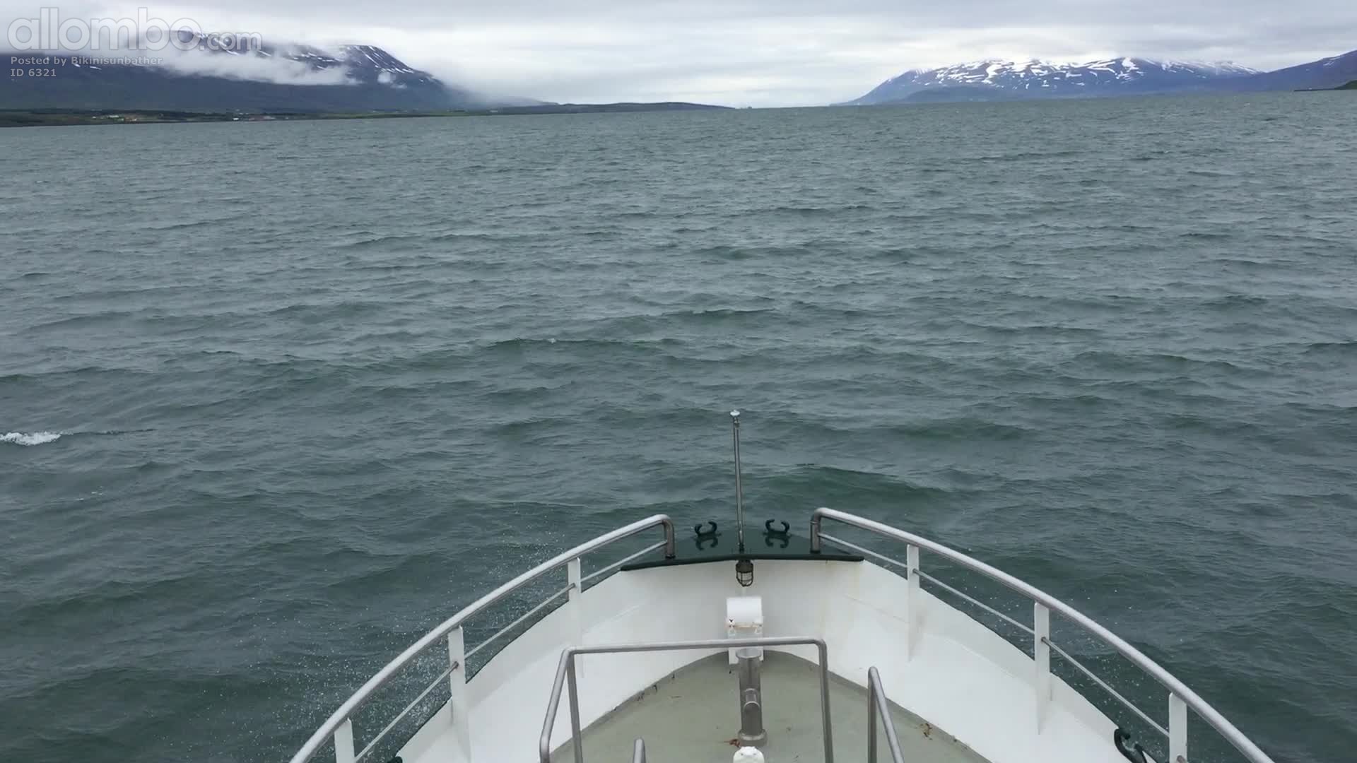 Boat going whale watching  in Iceland