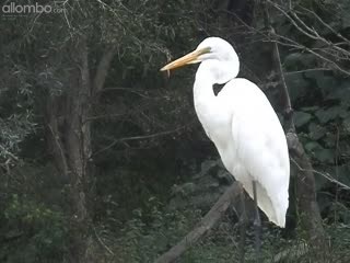 This new model I've been working with really is a bit of a poseur