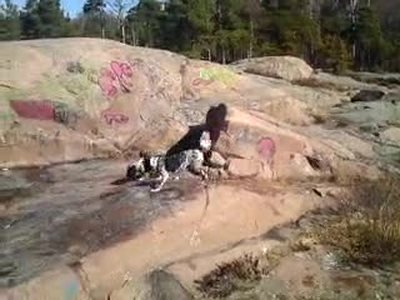 i just got an old vid of my first solo dog and my now oldest running out on...