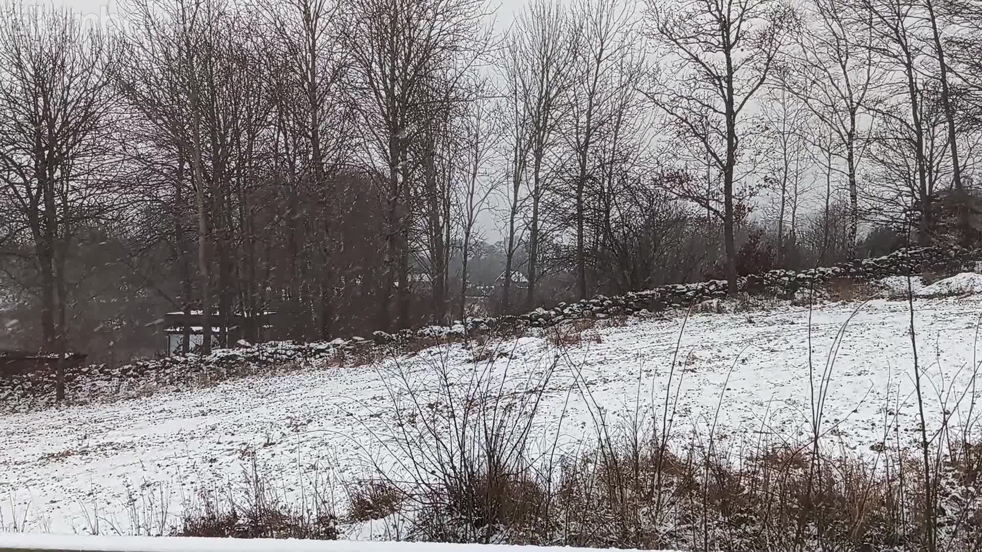 Well Christmas passed, stop it!