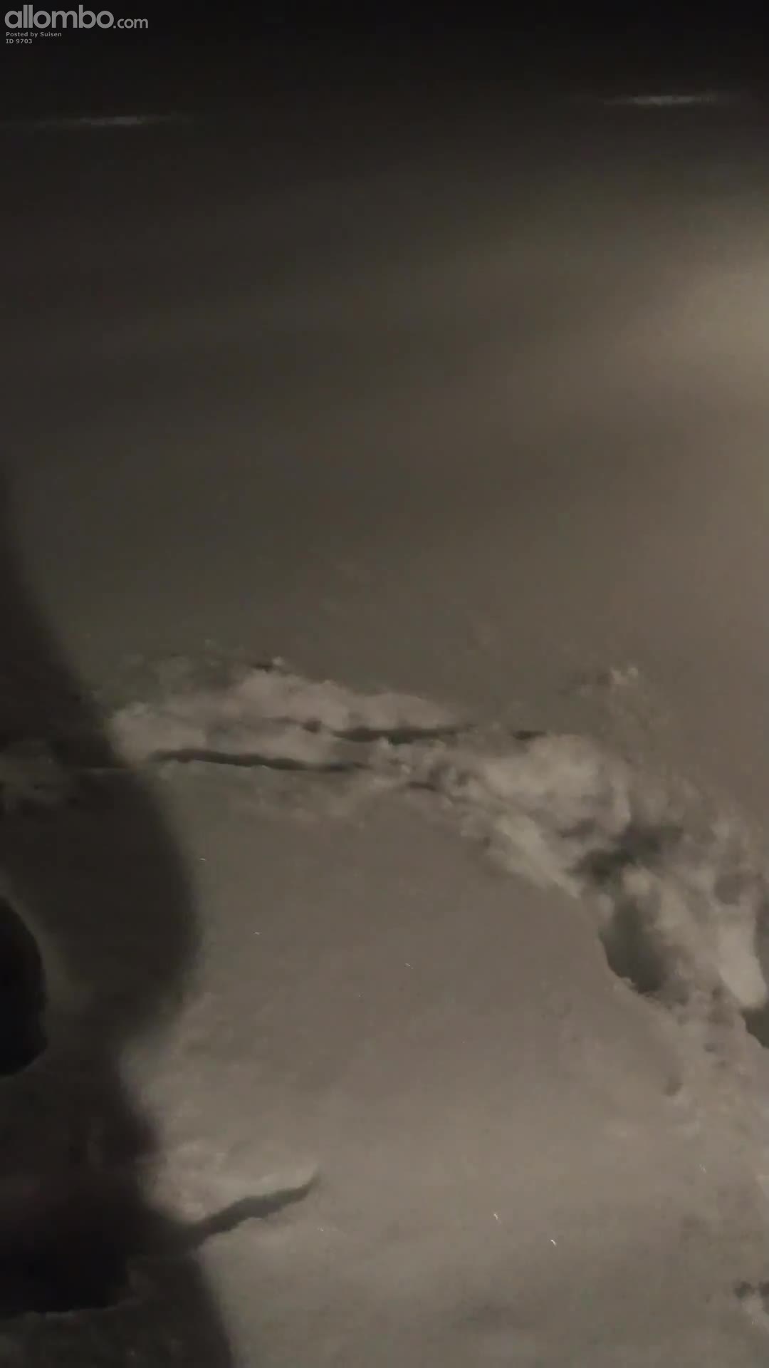 Vito making dog angels