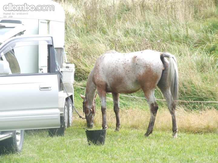 1 horse power