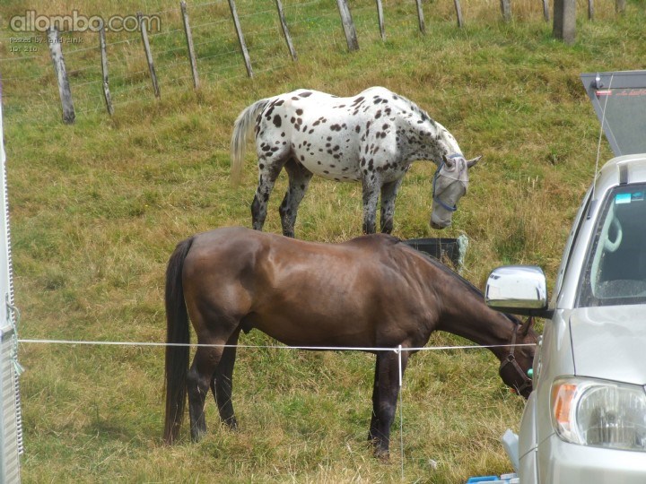 2 horse power
