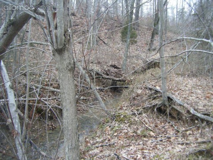 A little stream along our 4 mile $ wheeler trail
