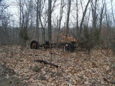 a couple of old wagons buried in the vegetation along our trail