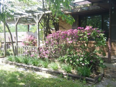 Our purple Azaleas and our red neck porch