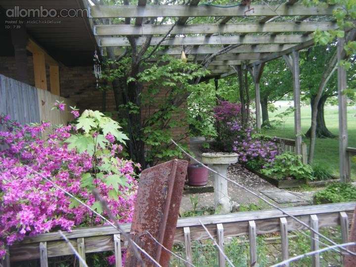 Our purple Azaleas and our red neck porch