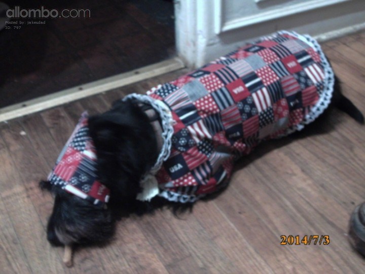 Jake the Scottie Dog
