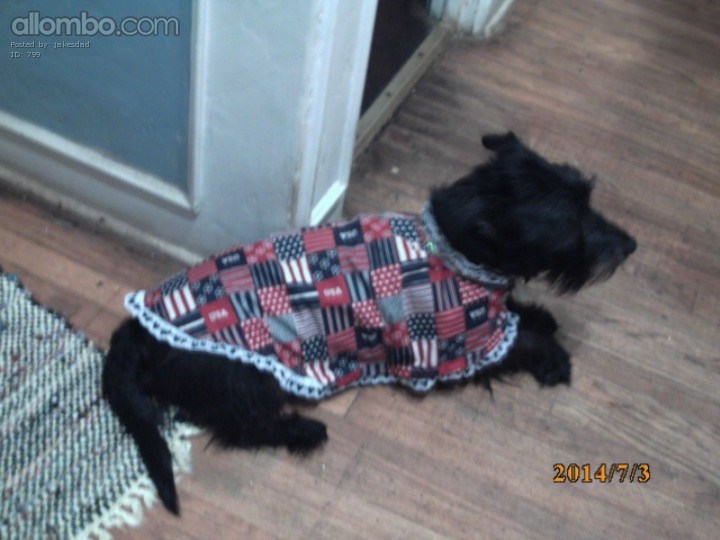 Jake the Scottie Dog
