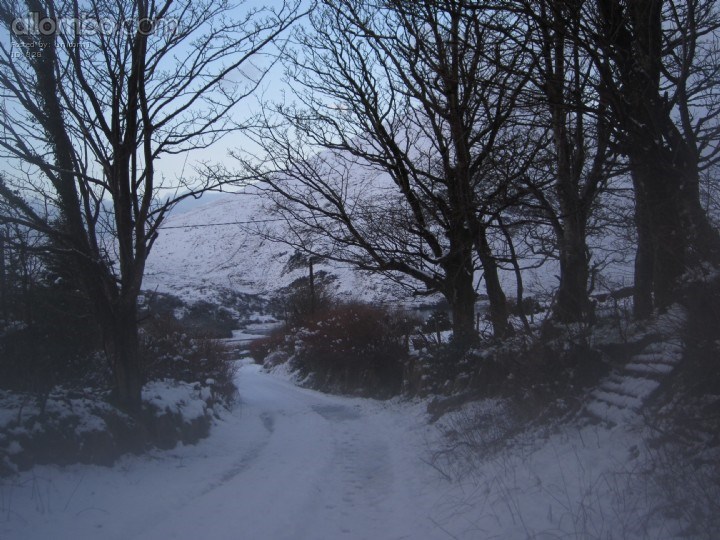 Funny what you miss when it's sunny for a few days lol......