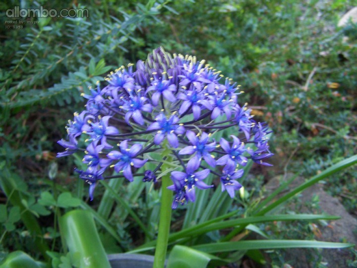 Happy Birthy to hick_chick_deluxe