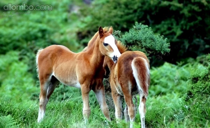 You scratch my back, I'll scratch yours