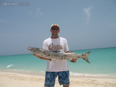 Barracuda in Cuba