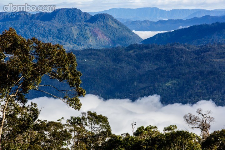 Southern Highlands Papua New Guinea