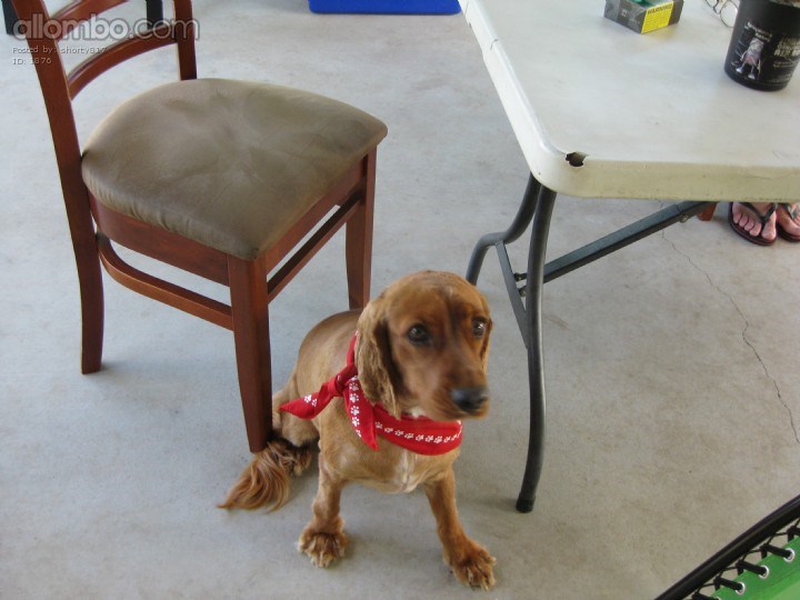 He did not like his hair cut