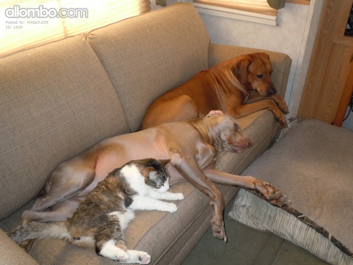 Napping on vacation!