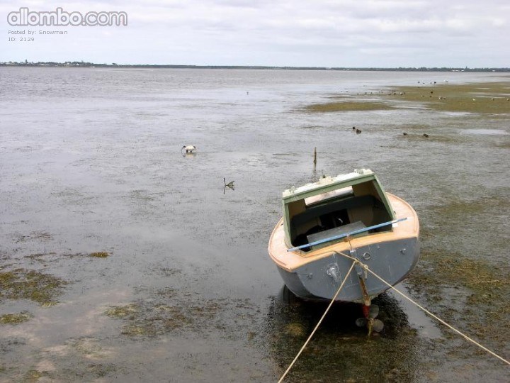 Waiting for the tide