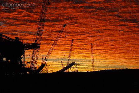 Sunrise through the cranes