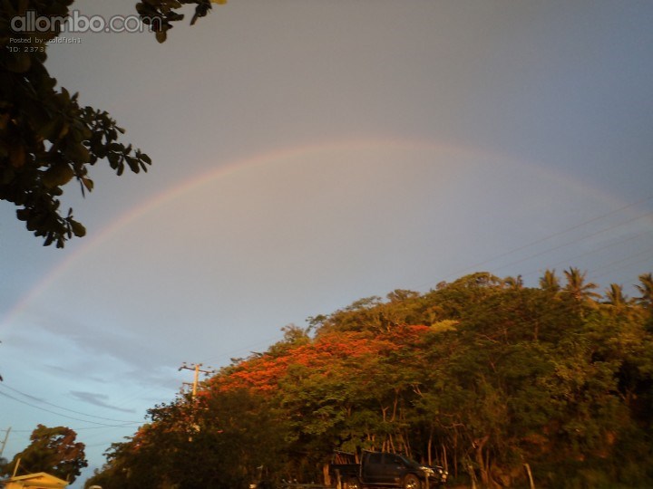 Cooky  love the place