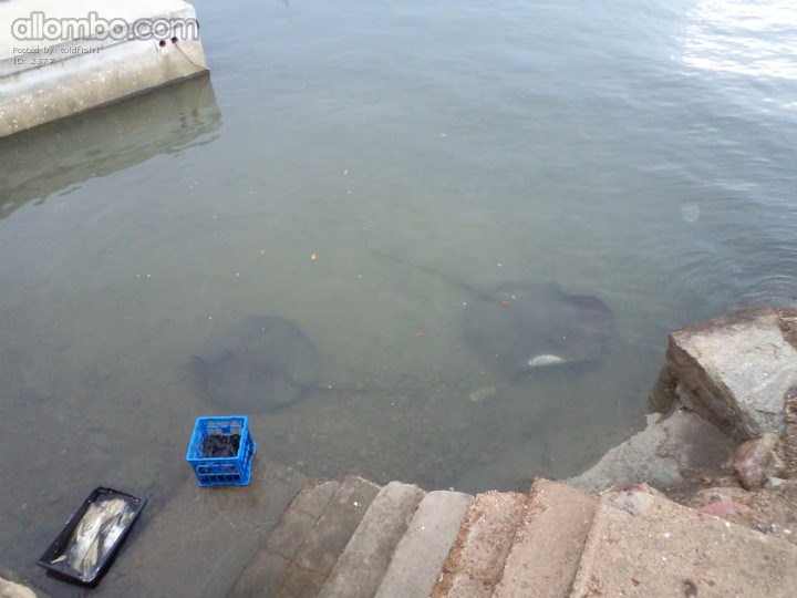 cooky love the place