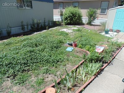 Our garden/yard before.