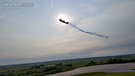 Kite flying fun