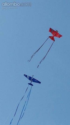 More Kite flying fun