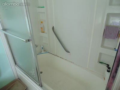 Bathroom before makeover - notice the tub .....