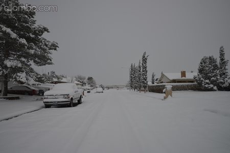 Our recent snow in the desert